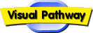 Visual Pathway
